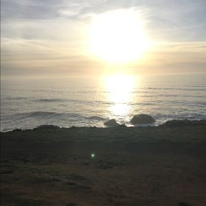 Meet your Posher, Riley